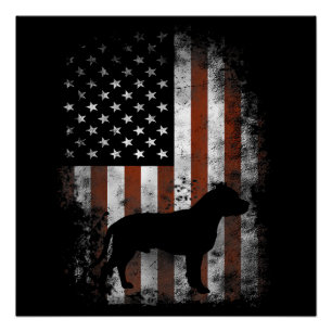 Amerikaanse Pitbull Terrier T-Shirt Amerikaanse vl Perfect Poster