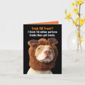 Amerikaanse Pitbull Trick or treat Halloween Humor Kaart (Gele Bloem)