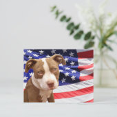 Amerikaanse Pitbullpuppy Briefkaart (Staand voorkant)