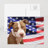 Amerikaanse Pitbullpuppy Briefkaart (Voorkant / Achterkant)