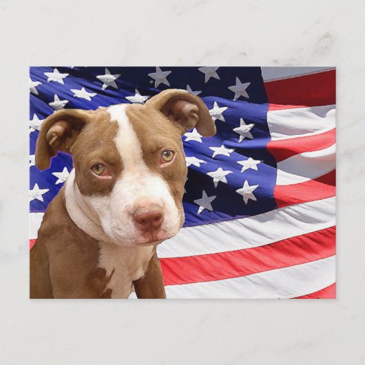 Amerikaanse Pitbullpuppy Briefkaart (Voorkant)
