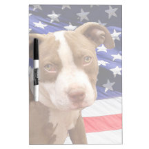 Amerikaanse Pitbullpuppy