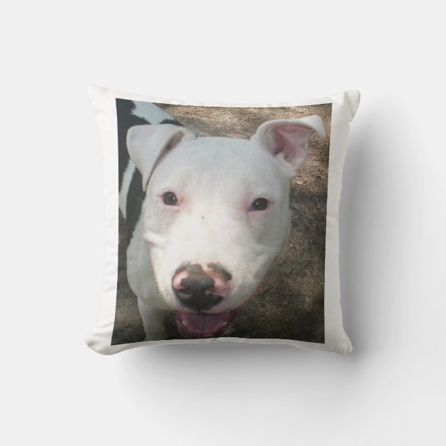Amerikaanse pitbullterriër kussen (Voorkant)