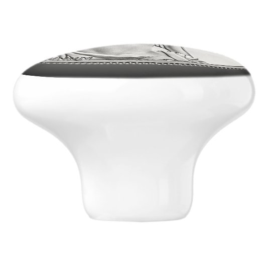 Amerikaanse Platinum Liberty Munt ~ Obverse 2013 Keramische Knop (Zijkant)