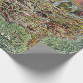 Amerikaanse plattegronden Cadeaupapier (Hoek)