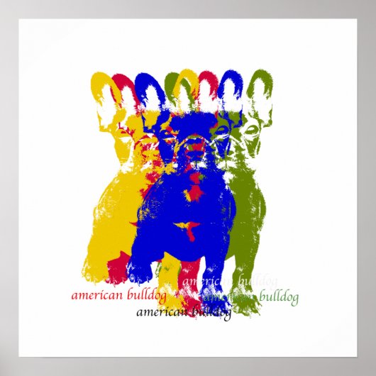 Amerikaanse poster (Voorkant)