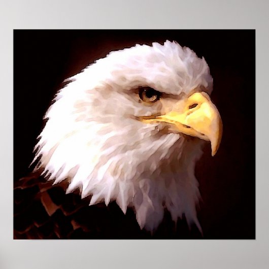 Amerikaanse Poster Eagle Bald Eagle (Voorkant)