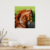 Amerikaanse Poster met saddlebred Horse Print (Keuken)