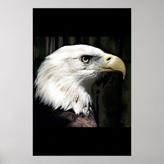 Amerikaanse Posterprint van de Witte Amerikaanse Z Poster (Voorkant)