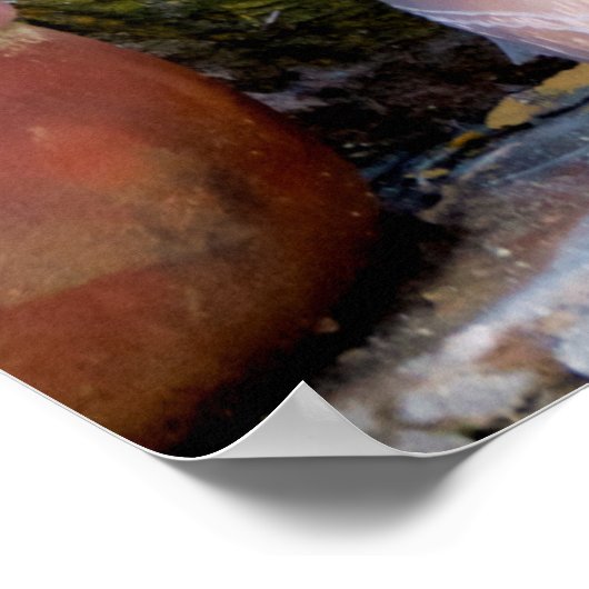 Amerikaanse potterij poster (Hoek)