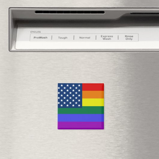 Amerikaanse Rainbow Pride Magneet (Insitu (Vaatwasser))
