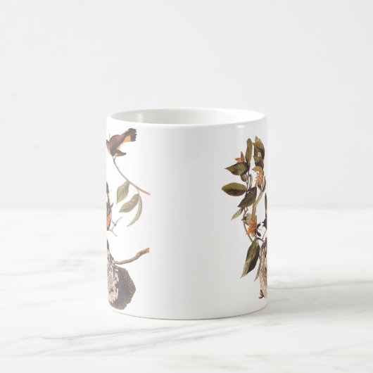 Amerikaanse Redstart Audubon Bird Classic Mok (Center)