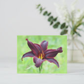 Amerikaanse Revolutie Daylily Briefkaart (Staand voorkant)