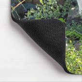 Amerikaanse roadrunner in de Arizona-woestijn Muismat (Hoek)