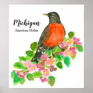 Amerikaanse Robin Apple Blossom Michigan Poster