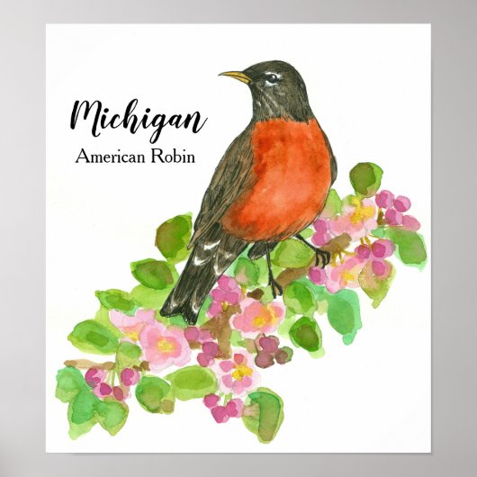 Amerikaanse Robin Apple Blossom Michigan Poster (Voorkant)