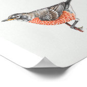 Amerikaanse Robin Art Print (Hoek)