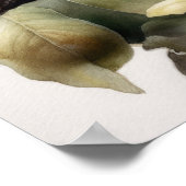 Amerikaanse Robin Bird Art Print Poster (Hoek)