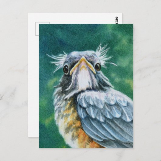 Amerikaanse Robin Bird Fledgling Waterverf Art Briefkaart (Voorkant / Achterkant)