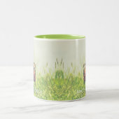 Amerikaanse Robin Bird Green Natuur Tweekleurige Koffiemok (Center)