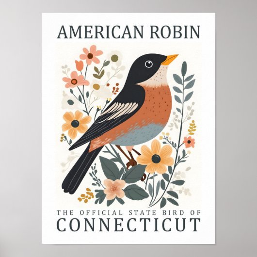 Amerikaanse Robin Bird van Connecticut Poster (Voorkant)