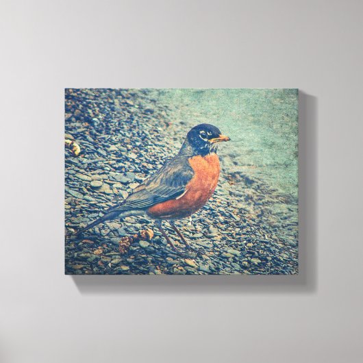 Amerikaanse Robin Bird Wrapped Canvas (Voorkant)