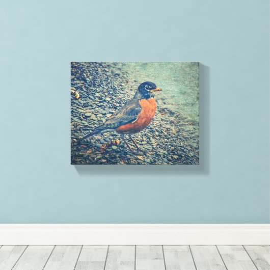 Amerikaanse Robin Bird Wrapped Canvas (Insitu (Houten vloer))