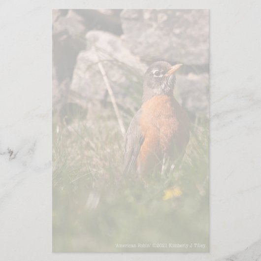 Amerikaanse Robin Briefpapier (Voorkant)