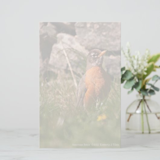 Amerikaanse Robin Briefpapier (Staand voorkant)
