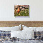 Amerikaanse Robin Canvas Afdruk (Insitu (Slaapkamer))