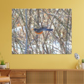 Amerikaanse Robin Canvas Afdruk (Insitu (Woonkamer))