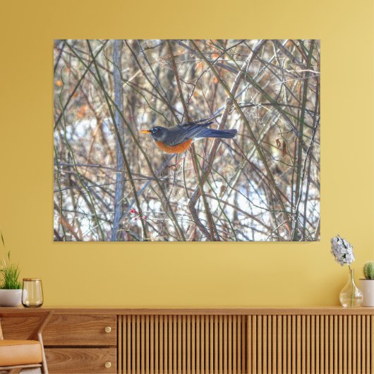 Amerikaanse Robin Canvas Afdruk (Insitu (Woonkamer))