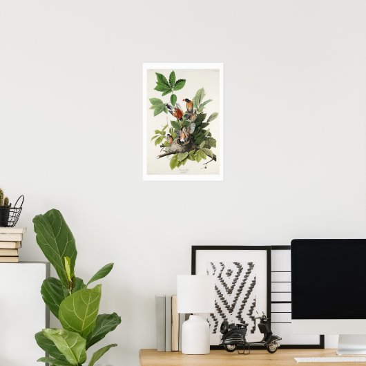 Amerikaanse Robin door Audubon Poster (Thuiskantoor)