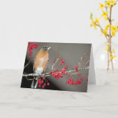 Amerikaanse Robin en Red Berries Kaart (Gele Bloem)
