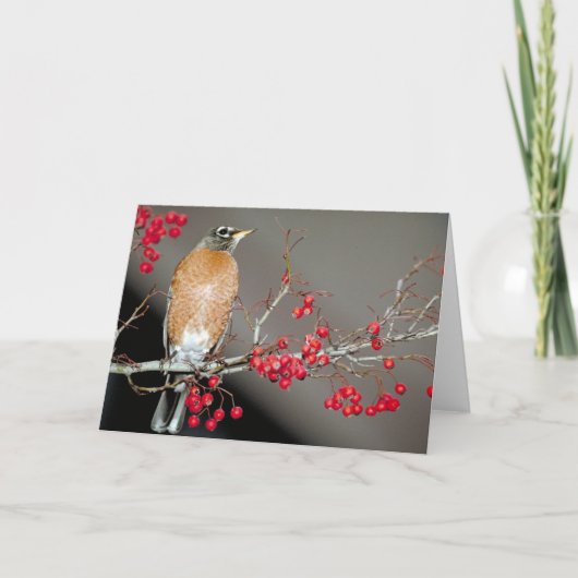 Amerikaanse Robin en Red Berries Kaart (Voorkant)