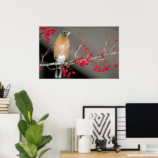 Amerikaanse Robin en Red Berries Poster (Thuiskantoor)