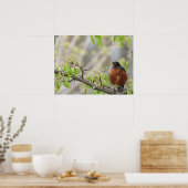 Amerikaanse Robin en Spring Blossom Poster (Keuken)
