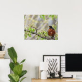 Amerikaanse Robin en Spring Blossom Poster (Thuiskantoor)