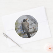 Amerikaanse robin foto ronde sticker (Envelop)