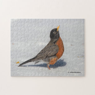 Amerikaanse Robin in de sneeuw Legpuzzel