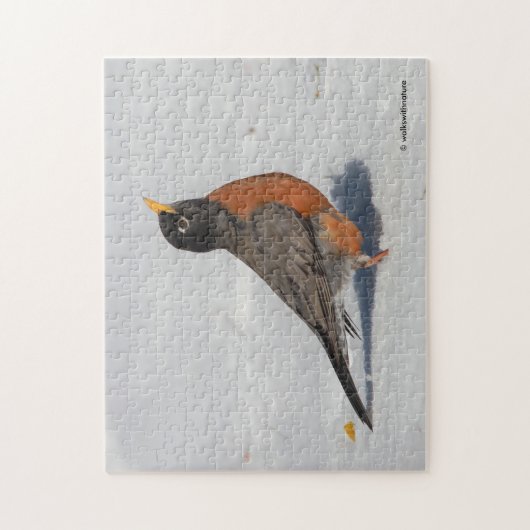Amerikaanse Robin in de sneeuw Legpuzzel (Verticaal)