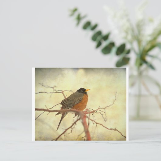 Amerikaanse Robin in The Springtime Briefkaart (Staand voorkant)