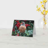 Amerikaanse Robin • Joe Sweeney - kaart (Gele Bloem)