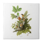 Amerikaanse Robin John James Audubon Birds of Amer Tegeltje (Voorkant)