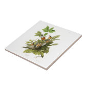 Amerikaanse Robin John James Audubon Birds of Amer Tegeltje (Zijkant)