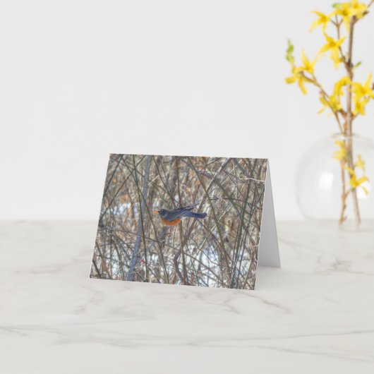 Amerikaanse Robin Kaart (Gele Bloem)