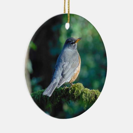 Amerikaanse Robin Keramisch Ornament (Rechts)