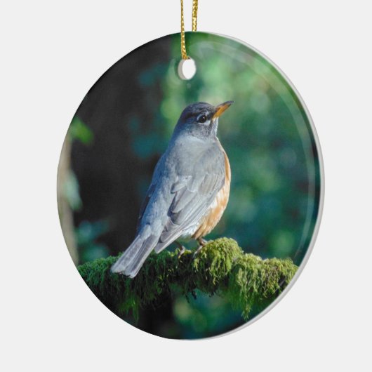 Amerikaanse Robin Keramisch Ornament (Links)