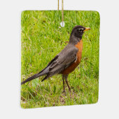 Amerikaanse Robin Keramisch Ornament (Rechts)