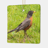 Amerikaanse Robin Keramisch Ornament (Links)